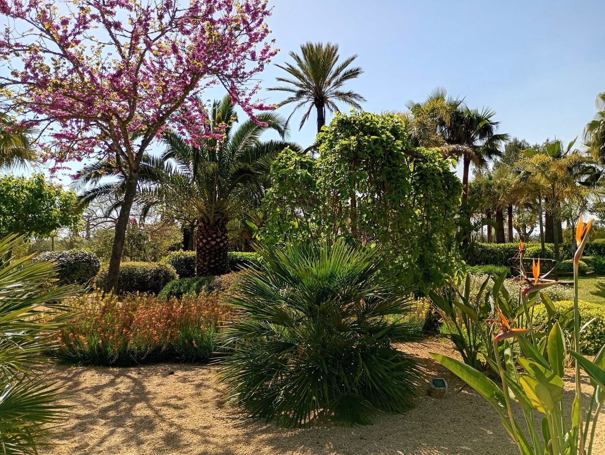 LANDSCAPE GARDEN DESIGN BINISSALEM MALLORCA SESTEPA DESIGN
