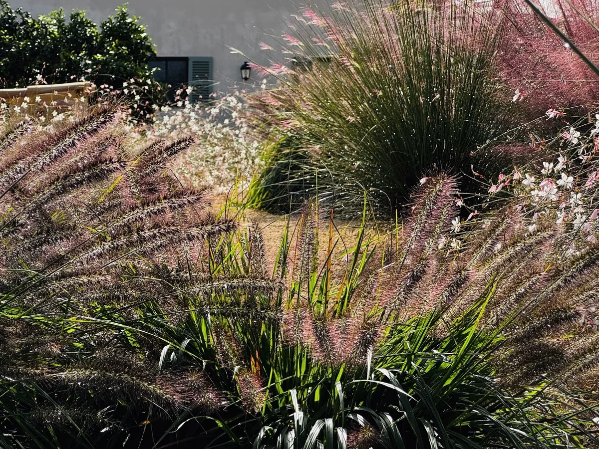 LANDSCAPE GARDEN DESIGN BINISSALEM MALLORCA SESTEPA DESIGN