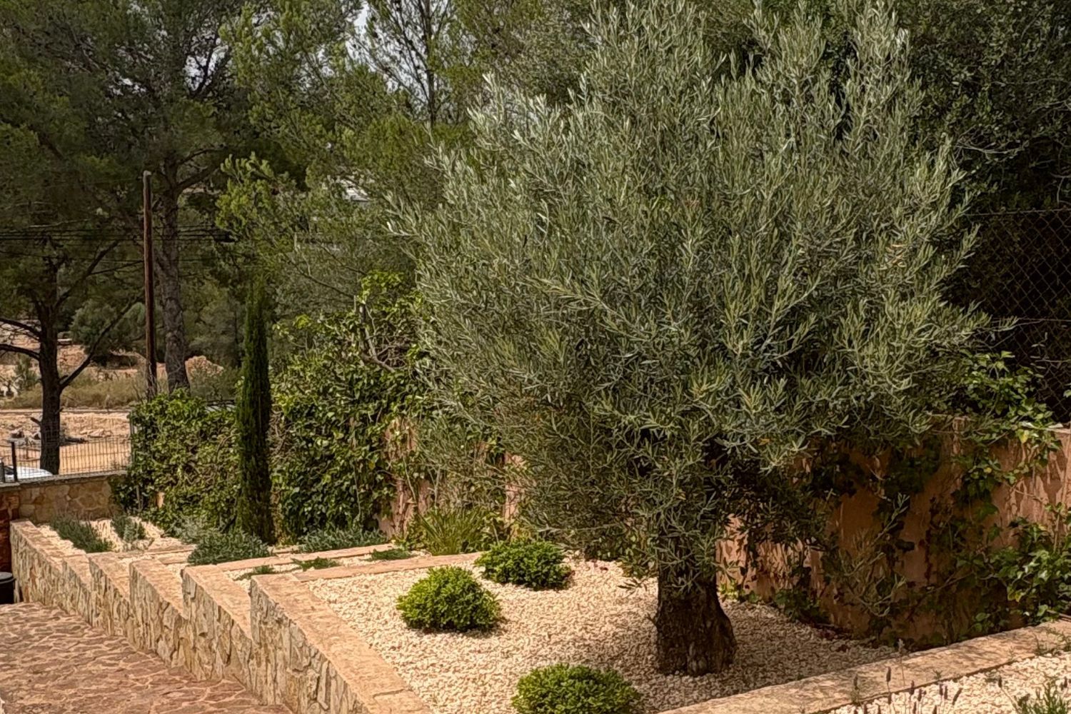 GARDEN LANDSCAPE DESIGN BUNYOLA MALLORCA SESTEPA DESIGN