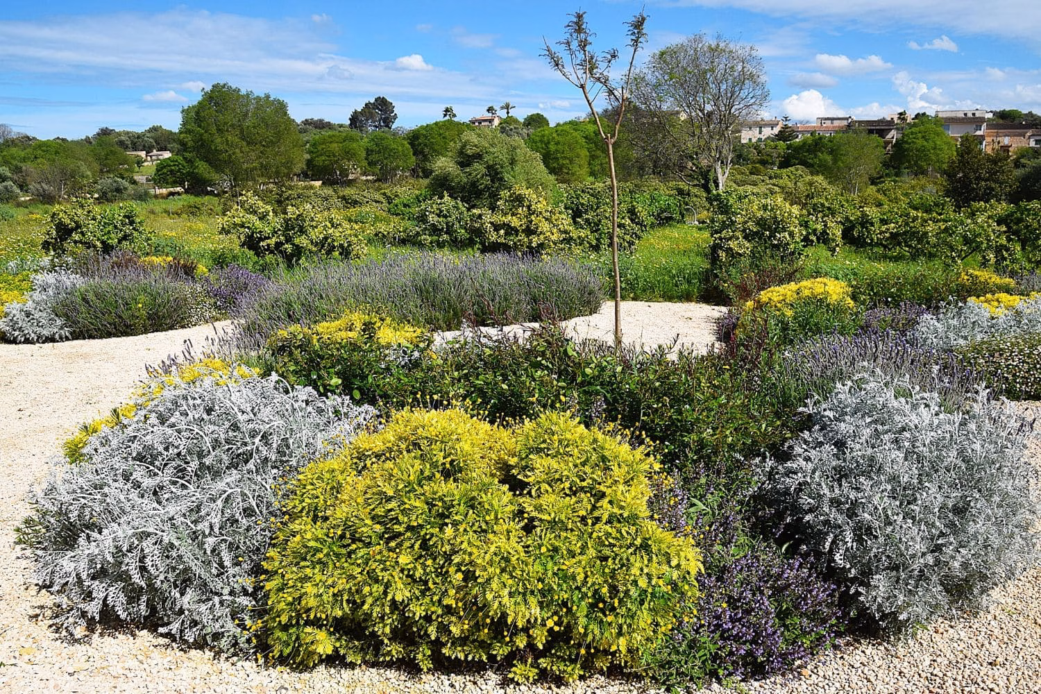 GARDEN LANDSCAPE DESIGN LLUBÍ MALLORCA SESTEPA DESIGN