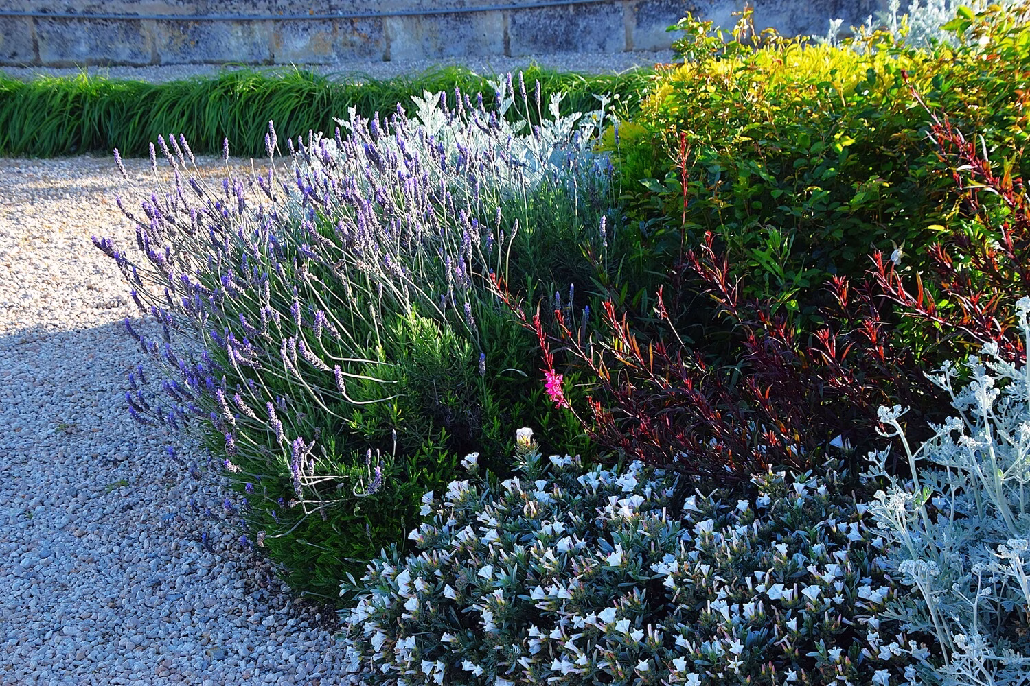 GARDEN LANDSCAPE DESIGN LLUBÍ MALLORCA SESTEPA DESIGN