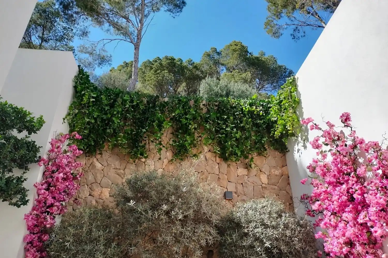 GARDEN DESIGN MALLORCA PUERTO ANDRATX SESTEPA DESIGN MAR LLABRES