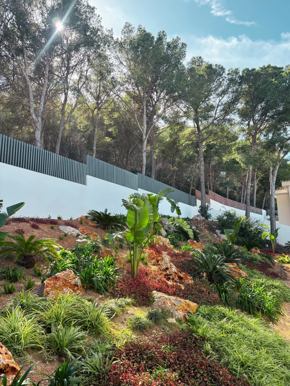 Drought-tolerant botanical design in Santa Ponsa, Mallorca