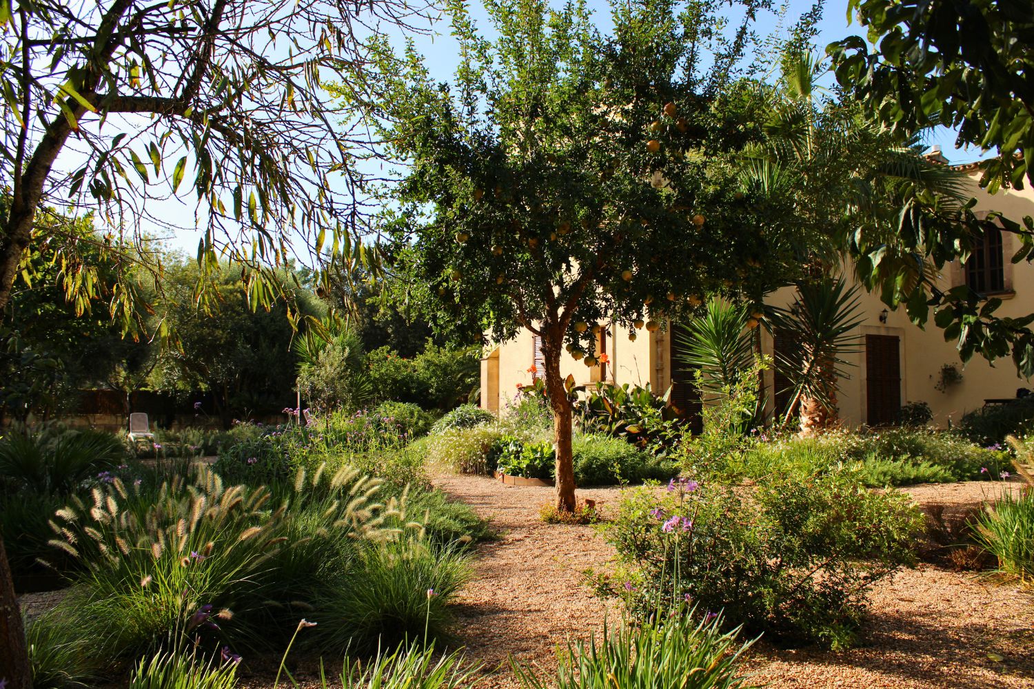 Sustainable landscape design with mineral layers in Crestatx, Mallorca