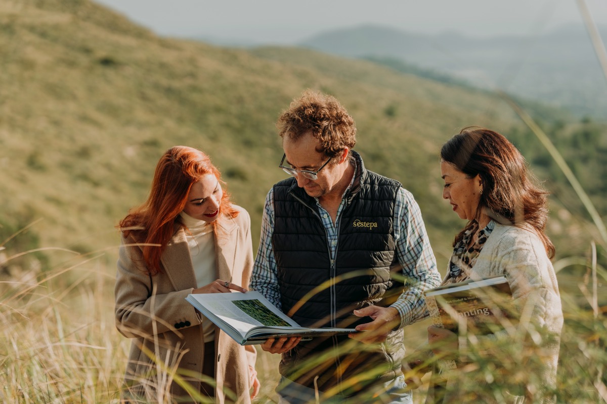DIE BESTEN LANDSCHAFTS- UND GARTENDESIGNER MALLORCAS page spread