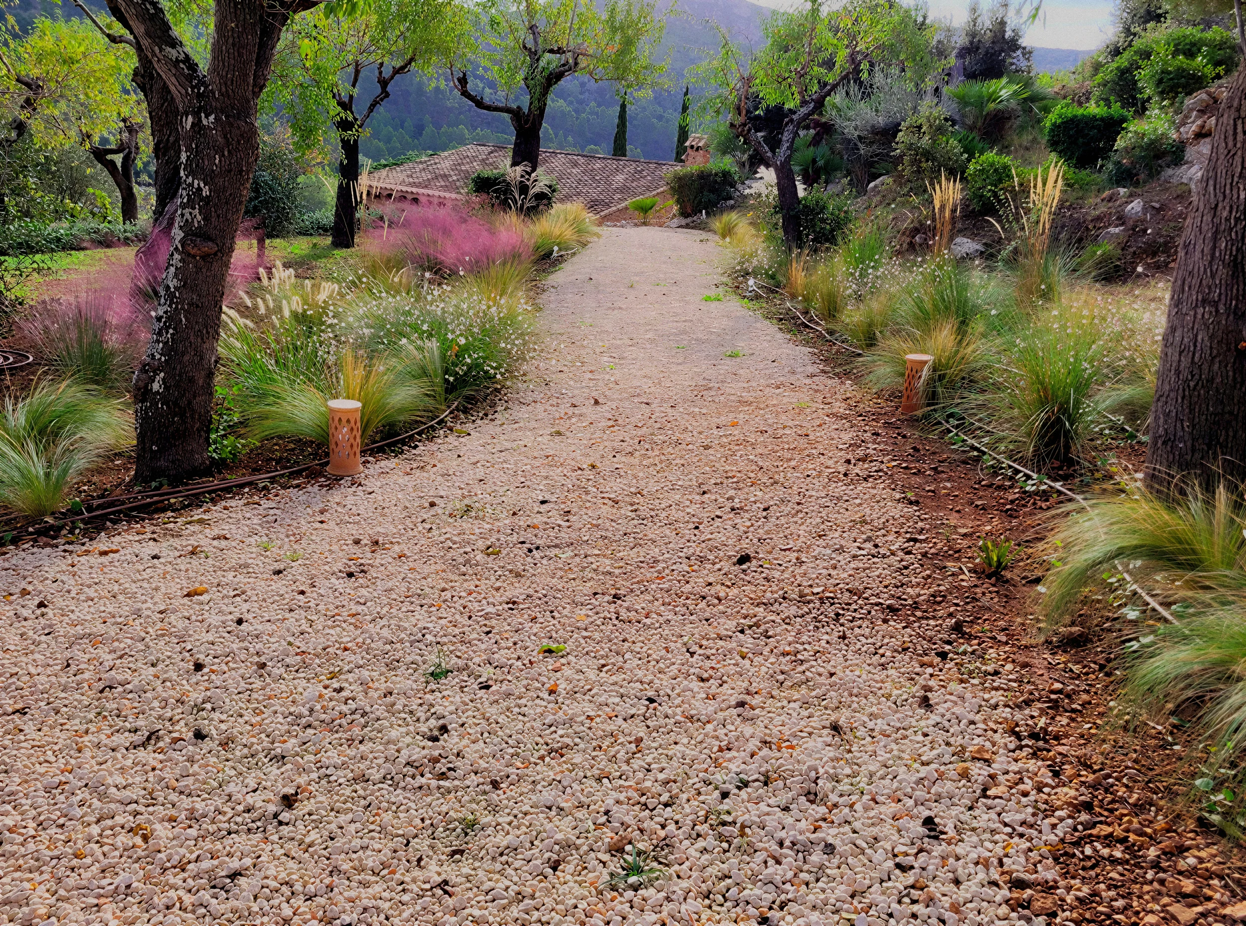 Andratx — Garden Design Detail, Andratx, Mallorca