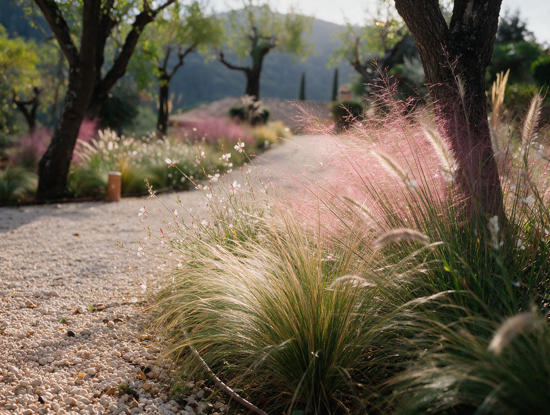 Andratx — Garden Design Andratx, Mallorca, Image 3
