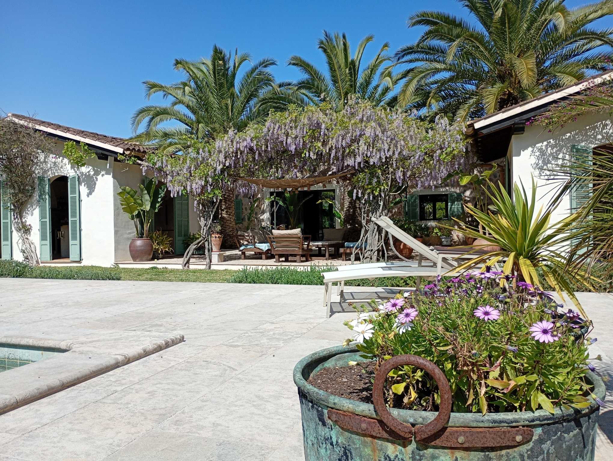 Jardín Binissalem — Garden Design Binissalem, Mallorca Mallorca, Image 7