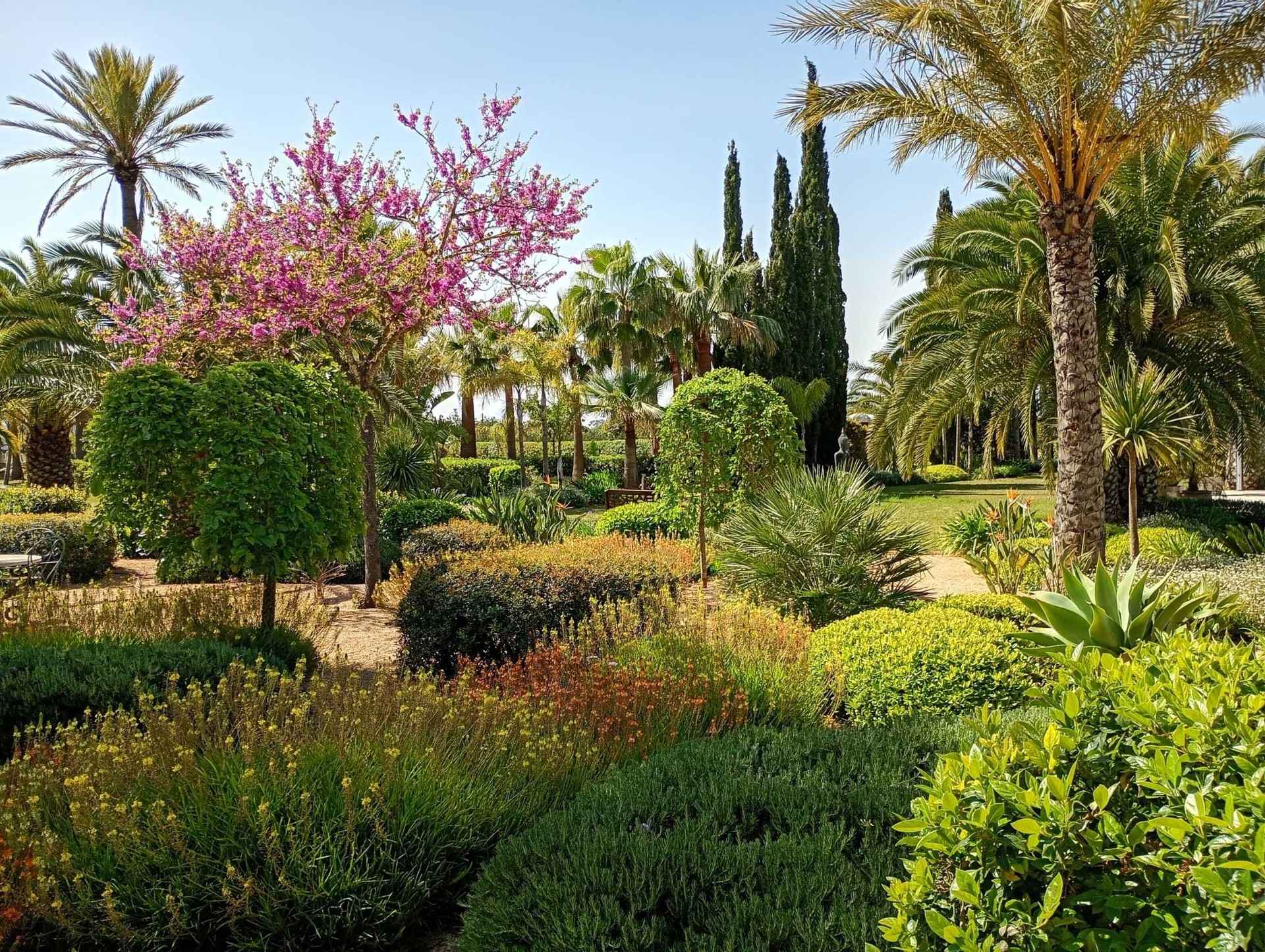 Jardín Binissalem — Garden Design Binissalem, Mallorca, S'Estepa Design Mallorca