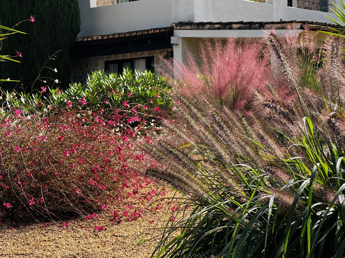Garten Binissalem detail 5