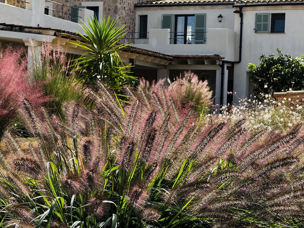 Garten Binissalem detail 6