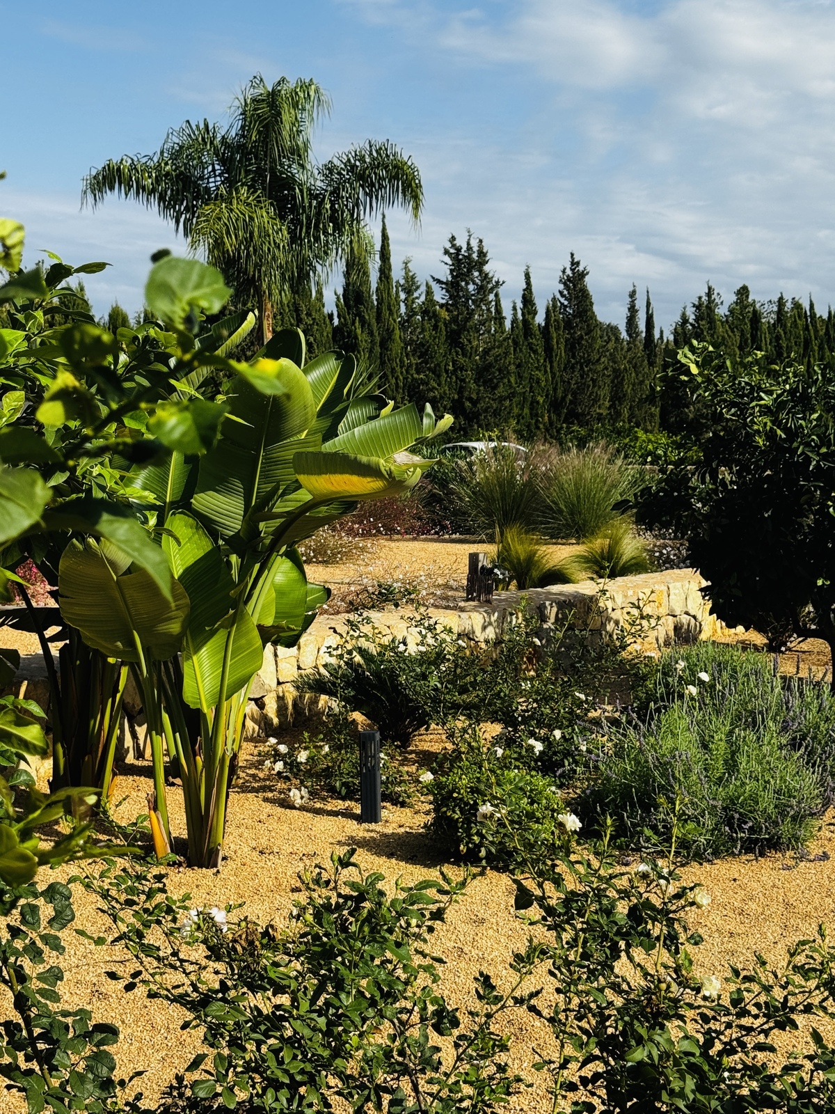 Garten Binissalem detail 15