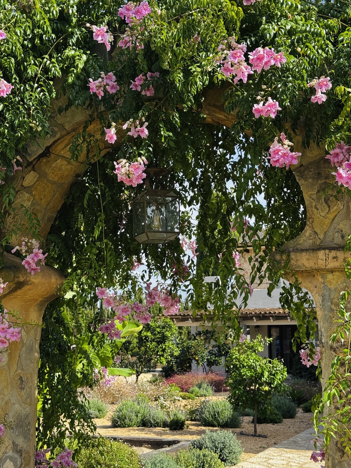 Garten Binissalem detail 16