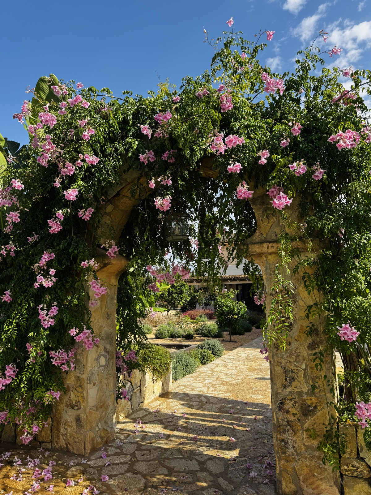 Garten Binissalem detail 17
