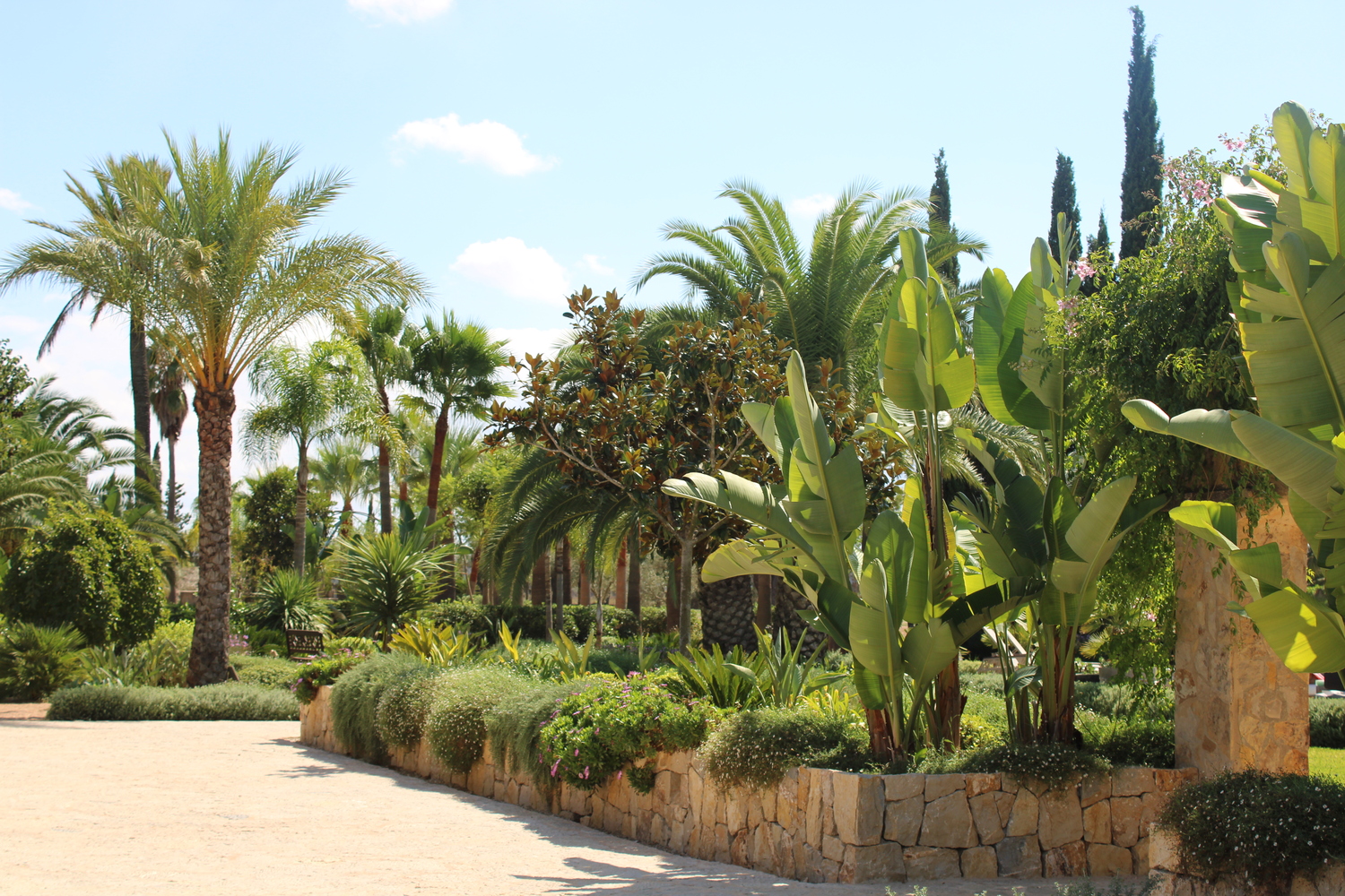 Garten Binissalem detail 21