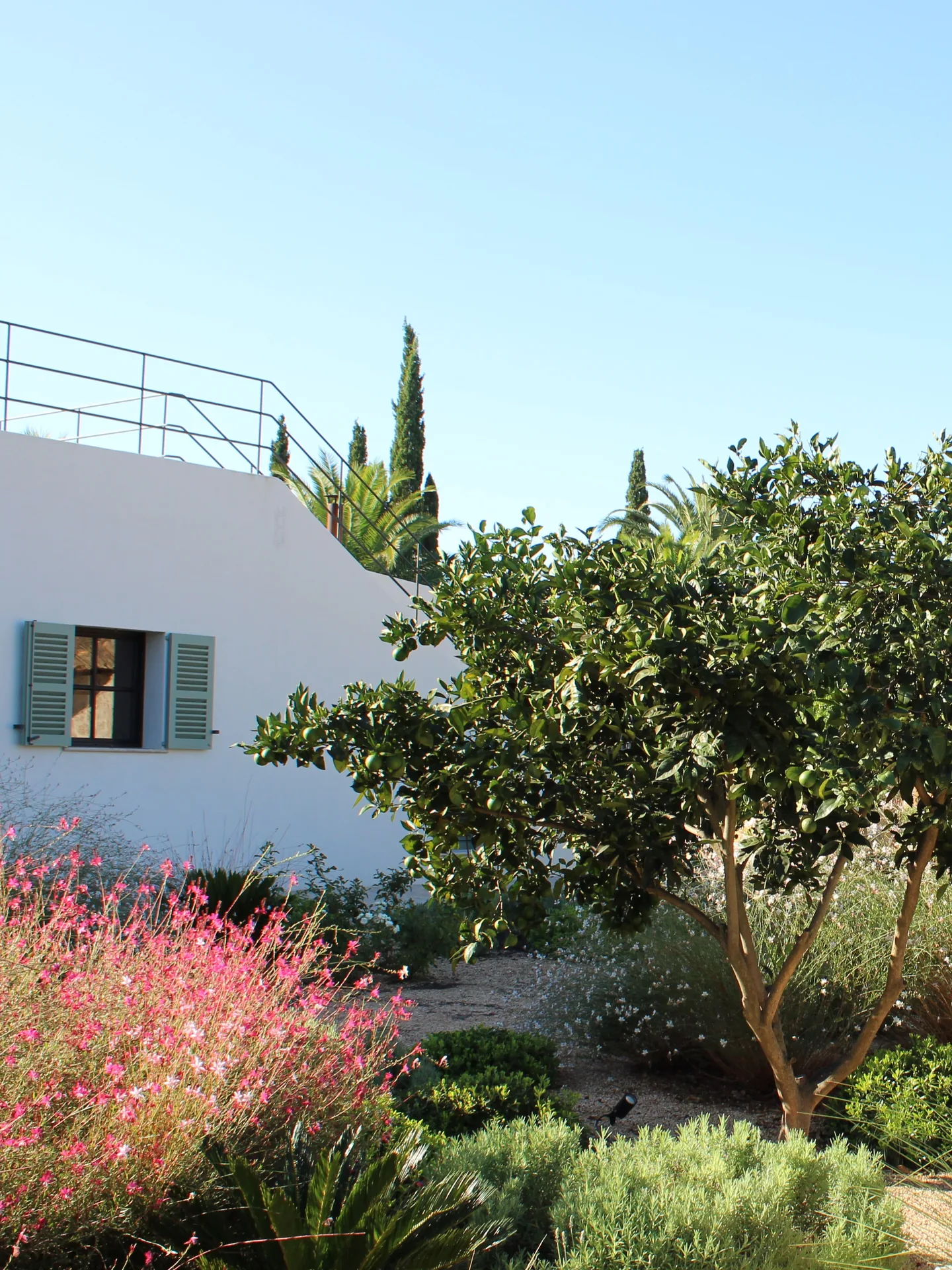 Binissalem Garden — Garden Design Binissalem, Mallorca, Image 3