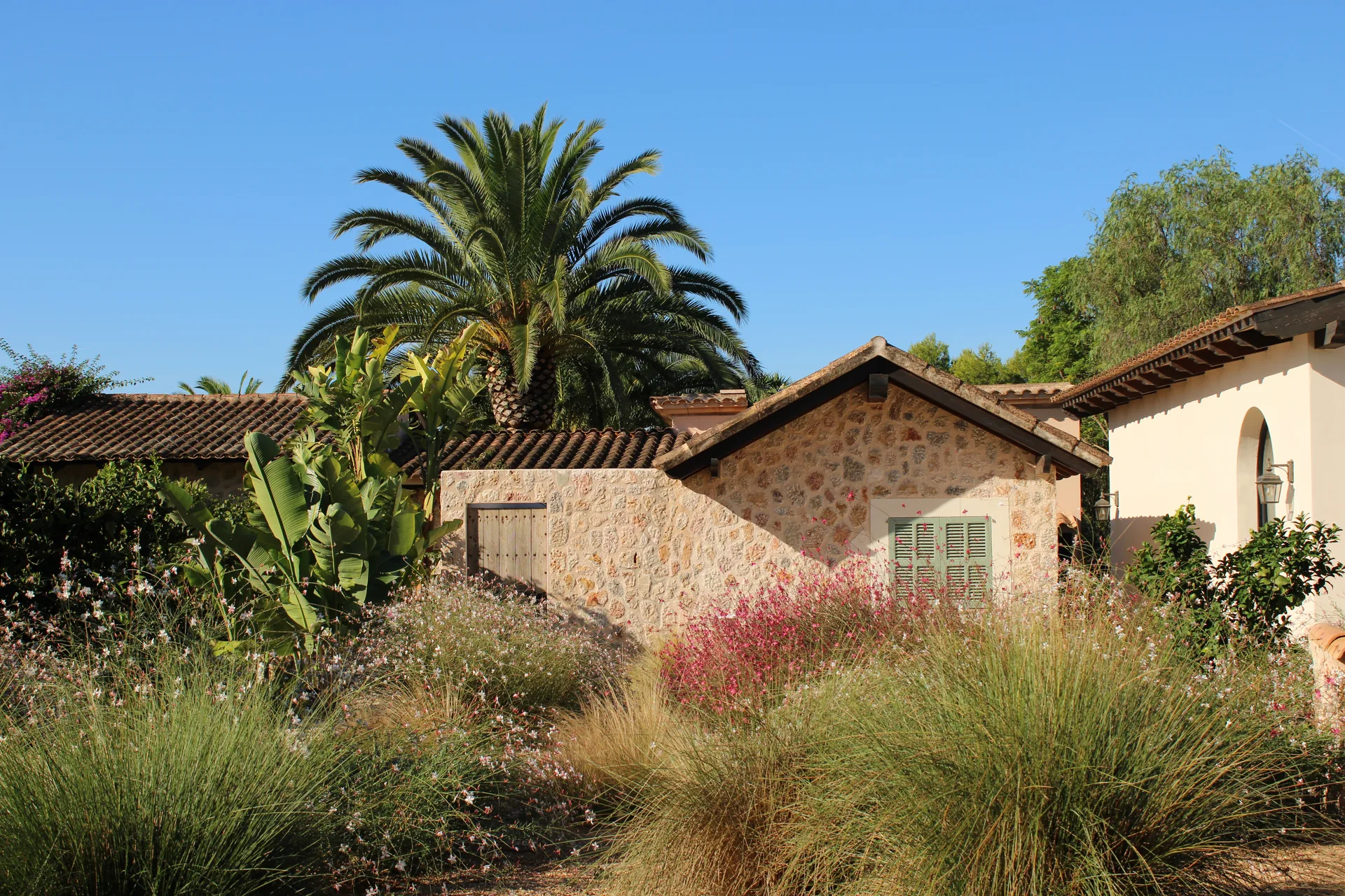 Binissalem Garden — Garden Design Binissalem, Mallorca, Image 4