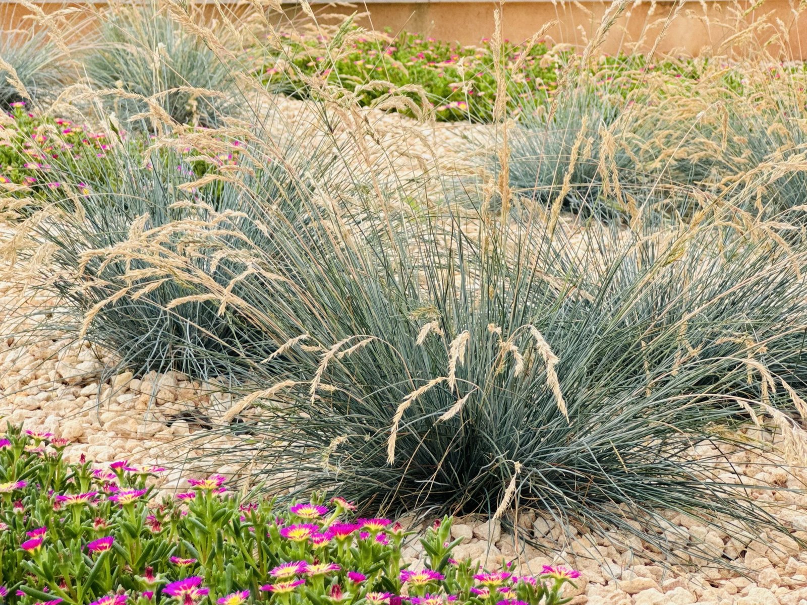 Bunyola — Garden Design Bunyola, Mallorca Mallorca, Image 6
