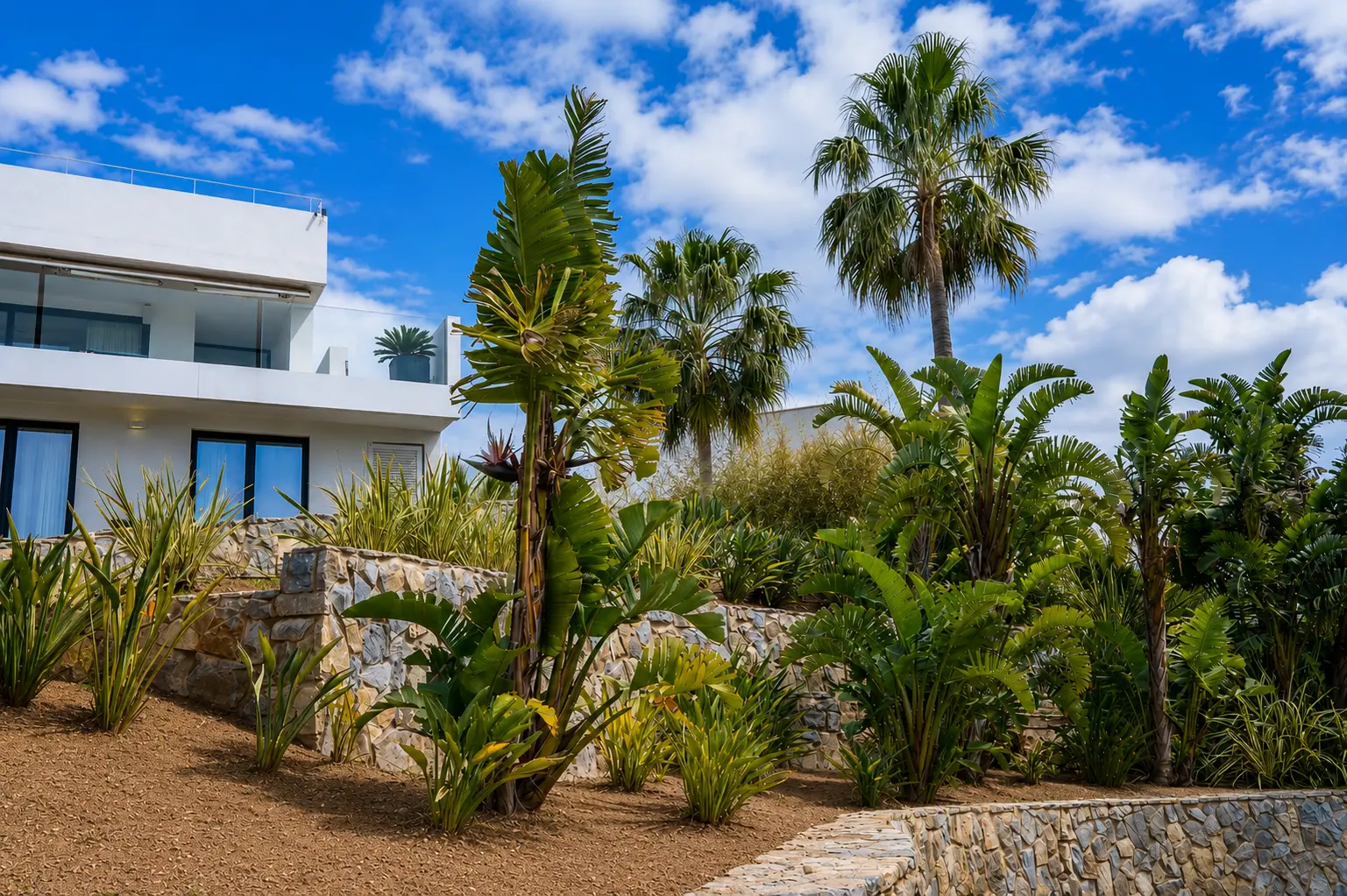 Garden Design Costa de la Calma, Calviá — S'Estepa Design