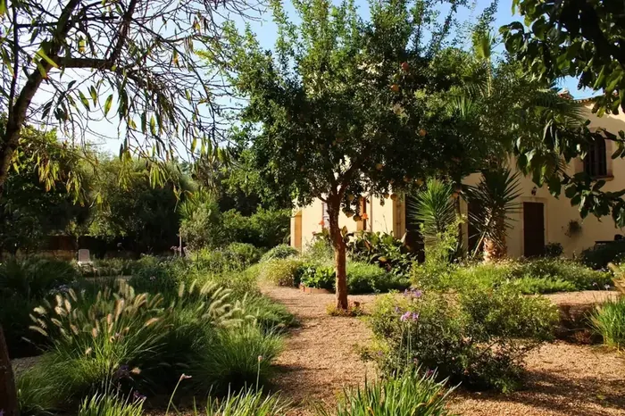The Ultimate Guide to High-End Garden Design in Mallorca
