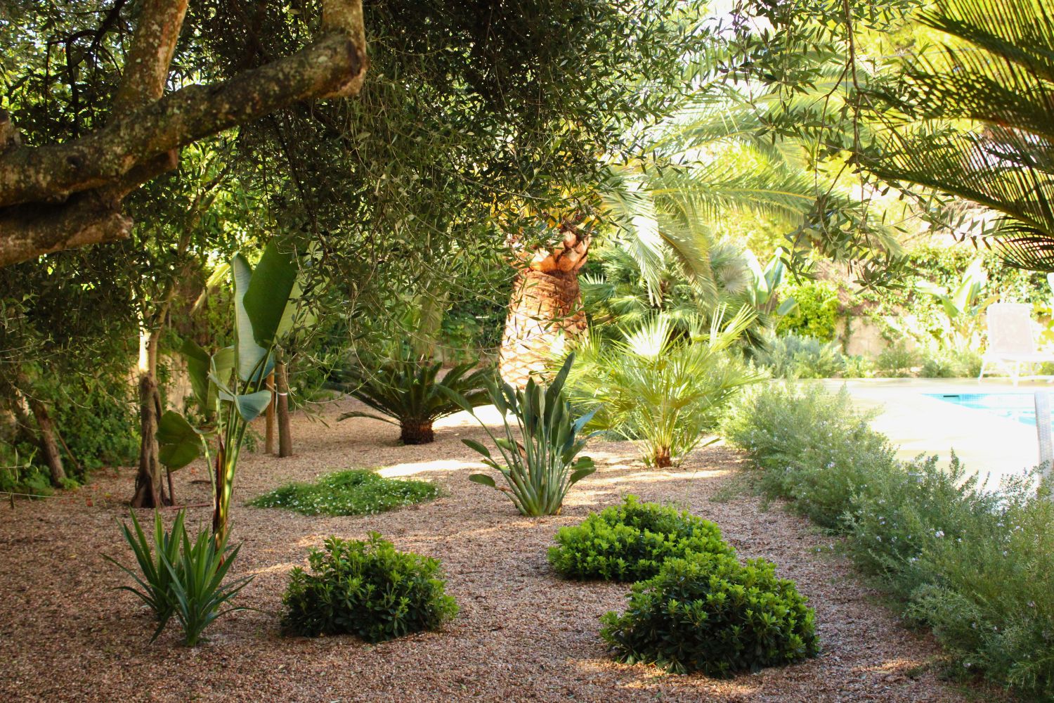 Crestatx — Garden Design Crestatx, Sa Pobla Mallorca, Image 8