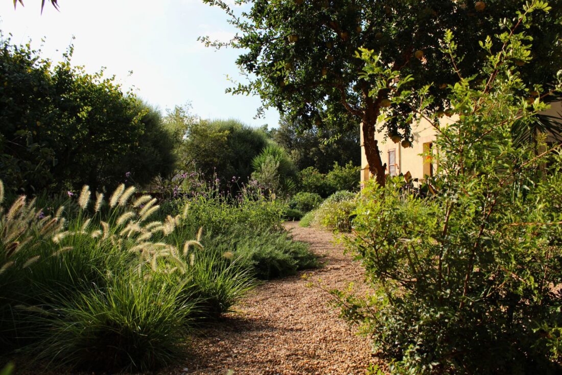 Crestatx — Garden Design Crestatx, Sa Pobla Mallorca, Image 10