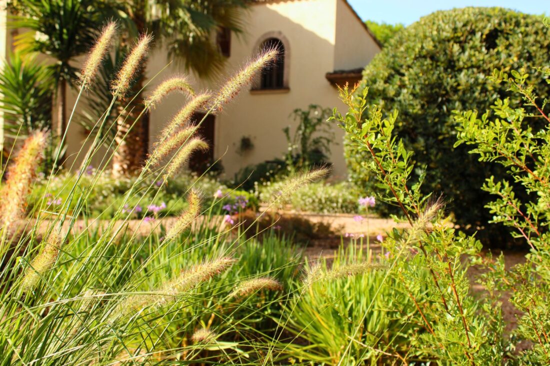 Crestatx — Garden Design Crestatx, Sa Pobla Mallorca, Image 12