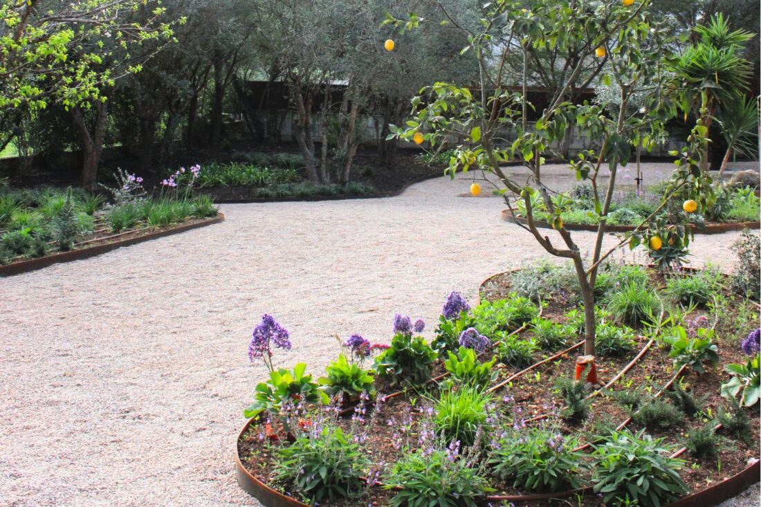Crestatx — Garden Design Crestatx, Sa Pobla Mallorca, Image 14
