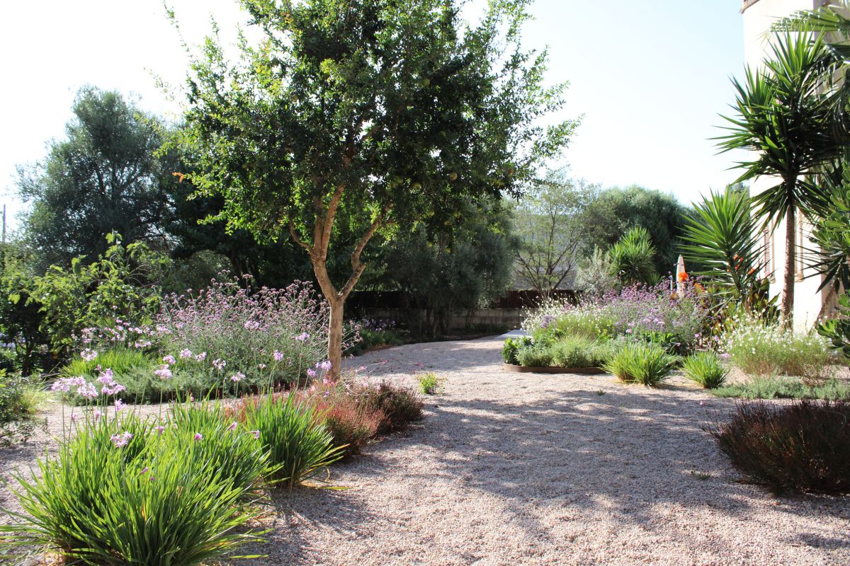 Crestatx — Garden Design Crestatx, Sa Pobla Mallorca, Image 15