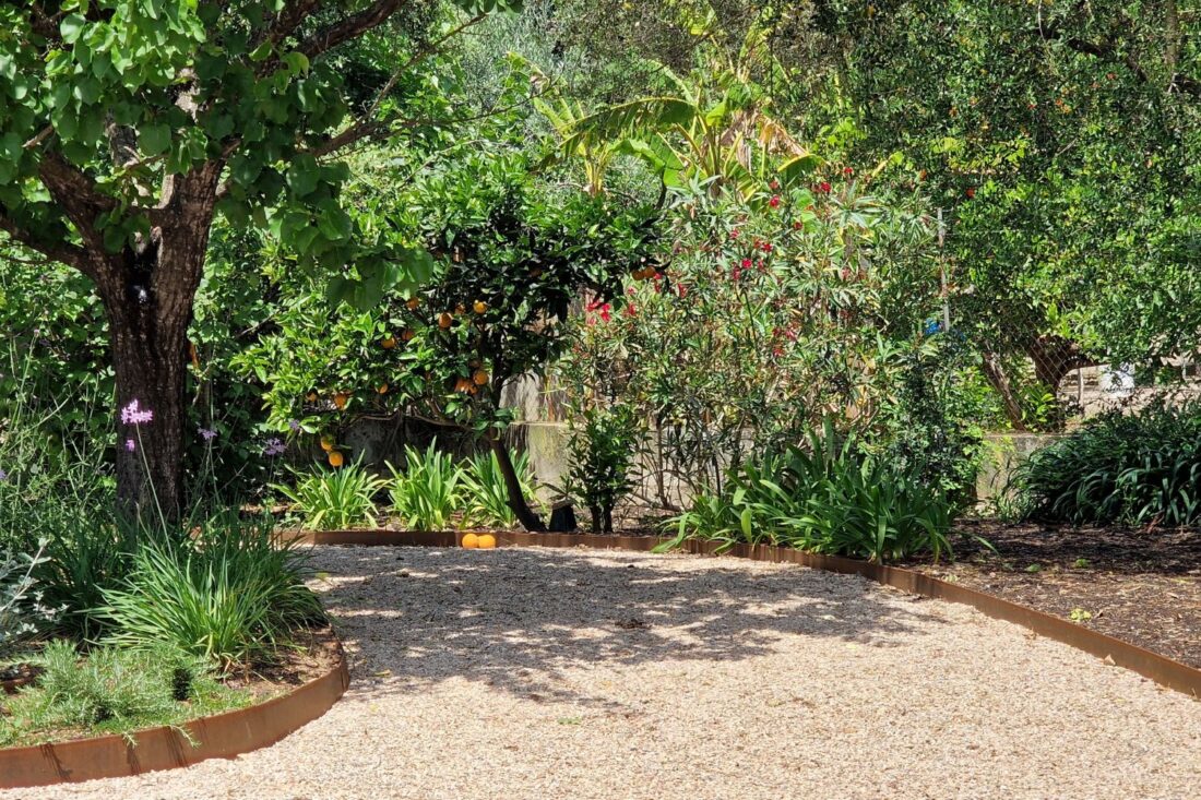 Crestatx — Garden Design Crestatx, Sa Pobla Mallorca, Image 16