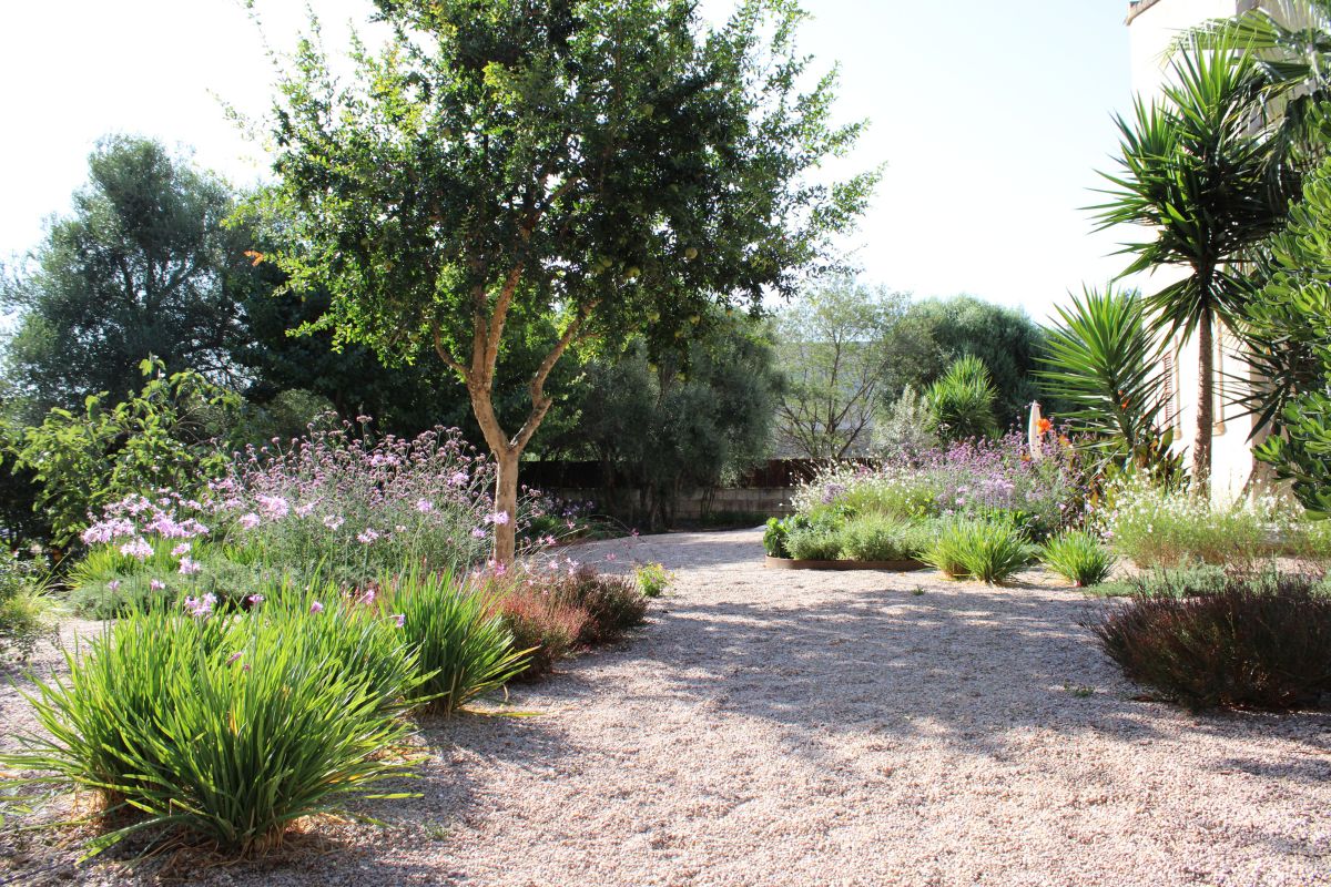 Crestatx — Garden Design Crestatx, Sa Pobla Mallorca, Image 17