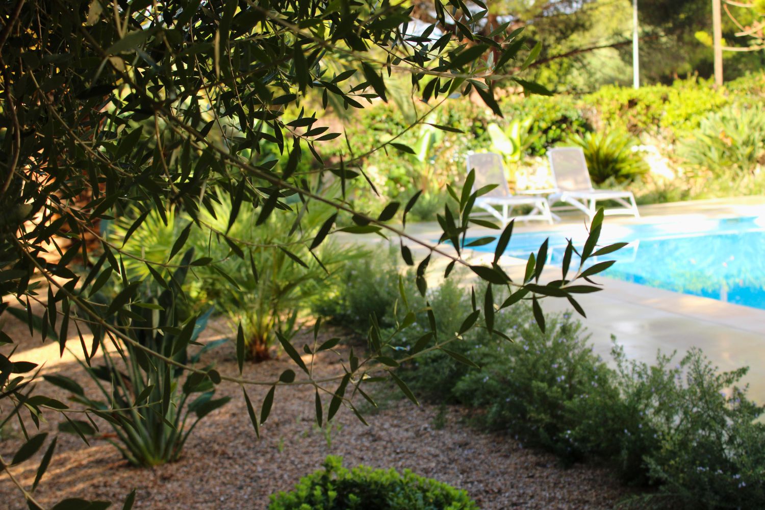 Crestatx — Garden Design Crestatx, Sa Pobla Mallorca, Image 18