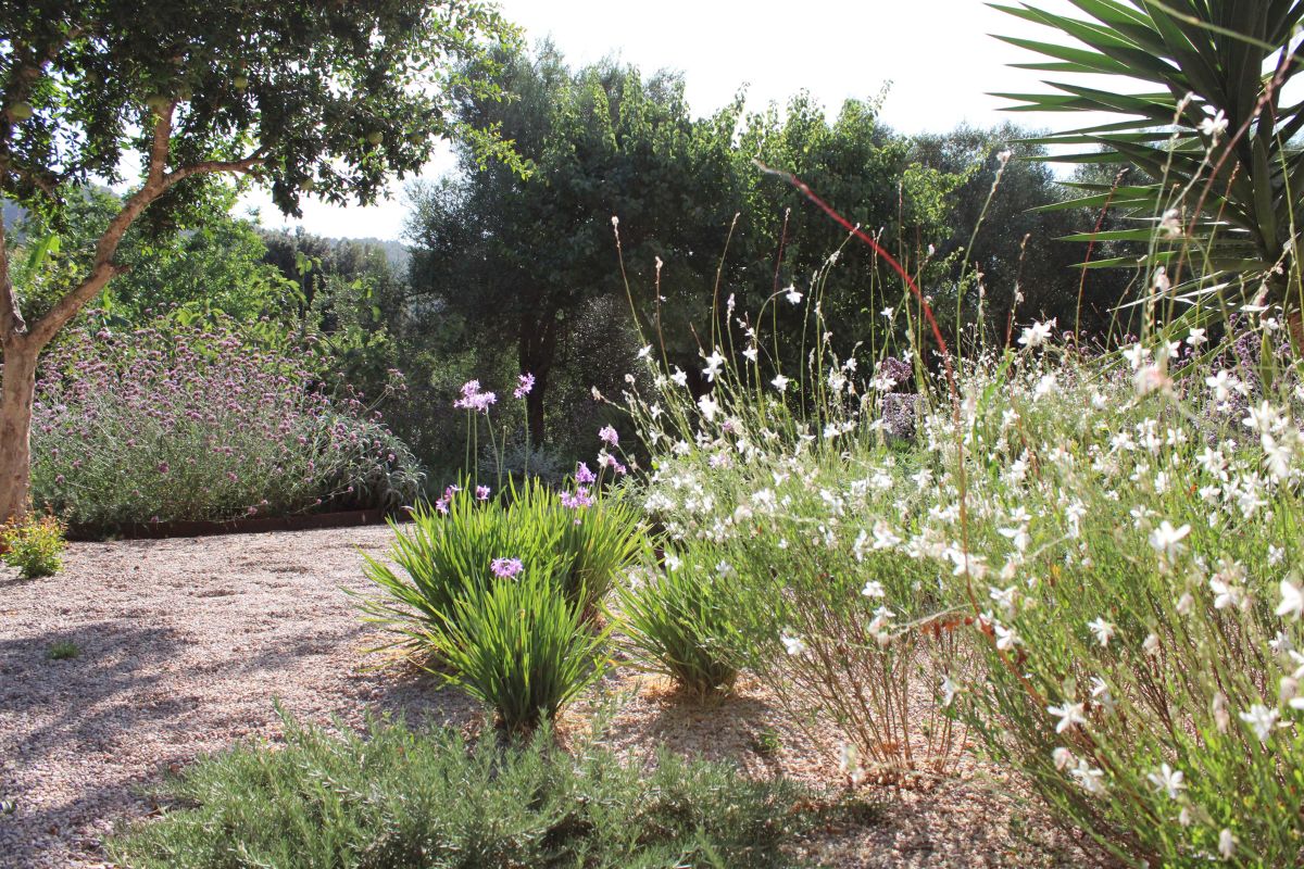 Crestatx — Garden Design Crestatx, Sa Pobla Mallorca, Image 19