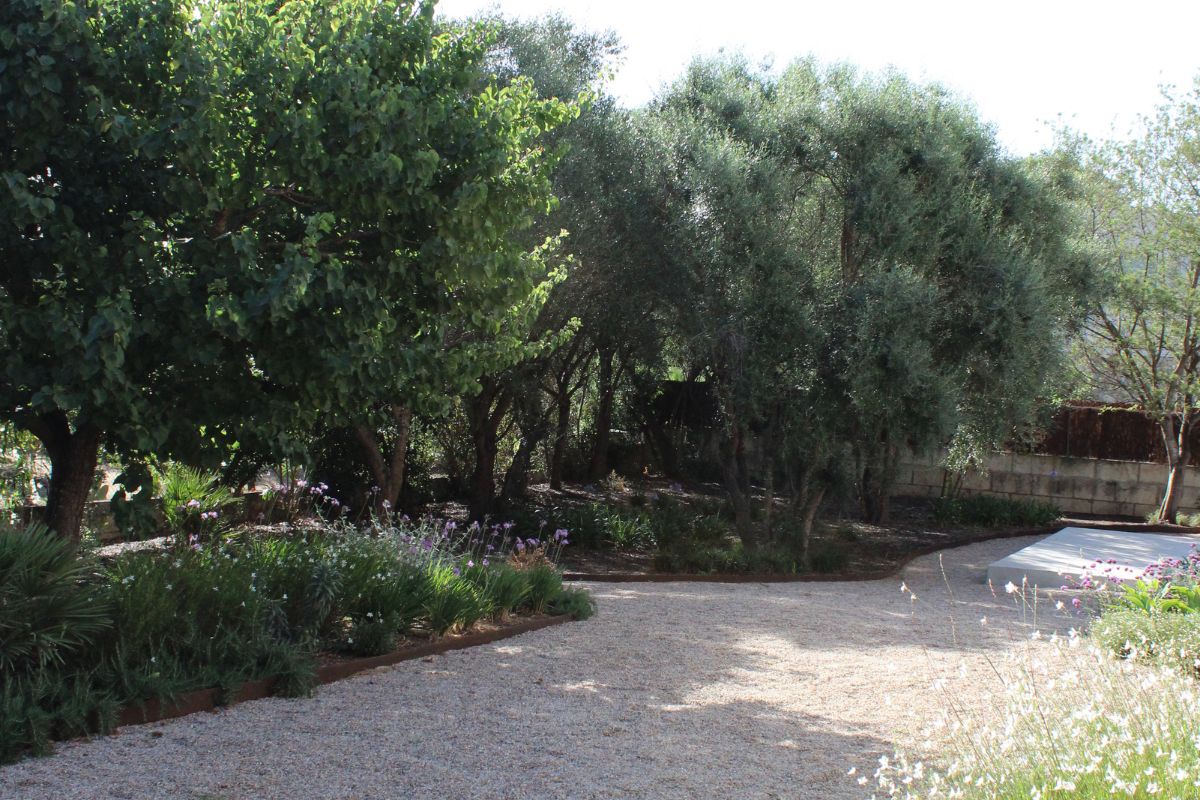 Crestatx — Garden Design Crestatx, Sa Pobla Mallorca, Image 20