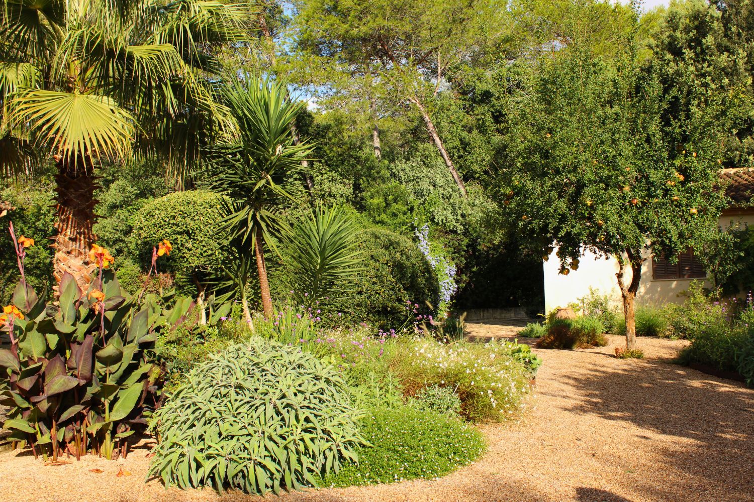 Crestatx — Garden Design Crestatx, Sa Pobla Mallorca, Image 21