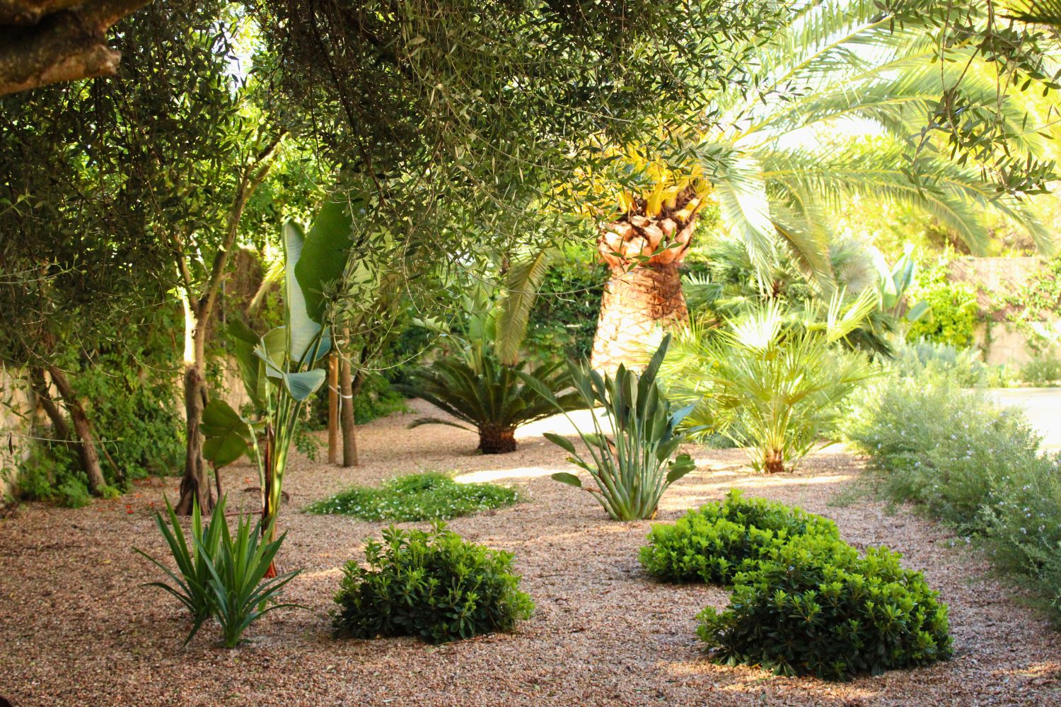Crestatx — Garden Design Crestatx, Sa Pobla Mallorca, Image 27