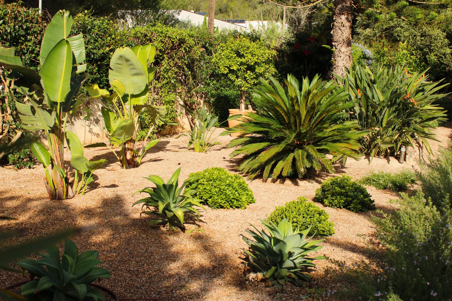 Crestatx — Garden Design Crestatx, Sa Pobla Mallorca, Image 28