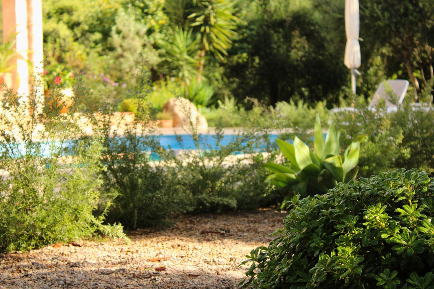 Crestatx — Garden Design Crestatx, Sa Pobla Mallorca, Image 29