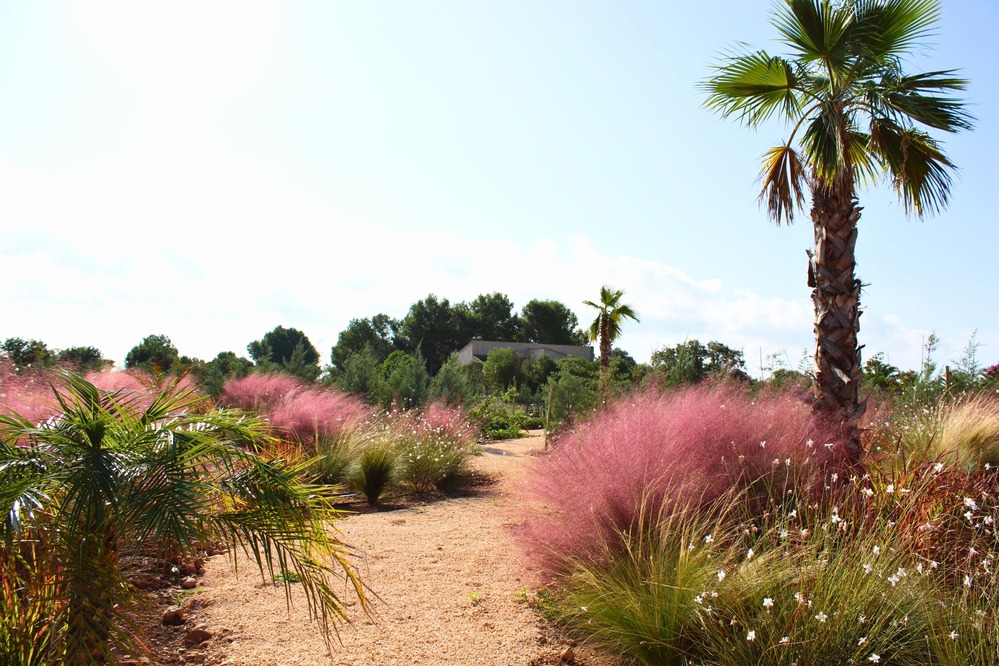 Finca Garden Campos detail 16