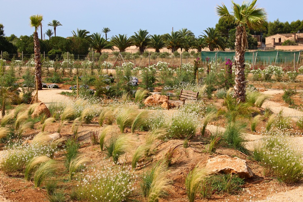 Finca Garden Campos detail 17