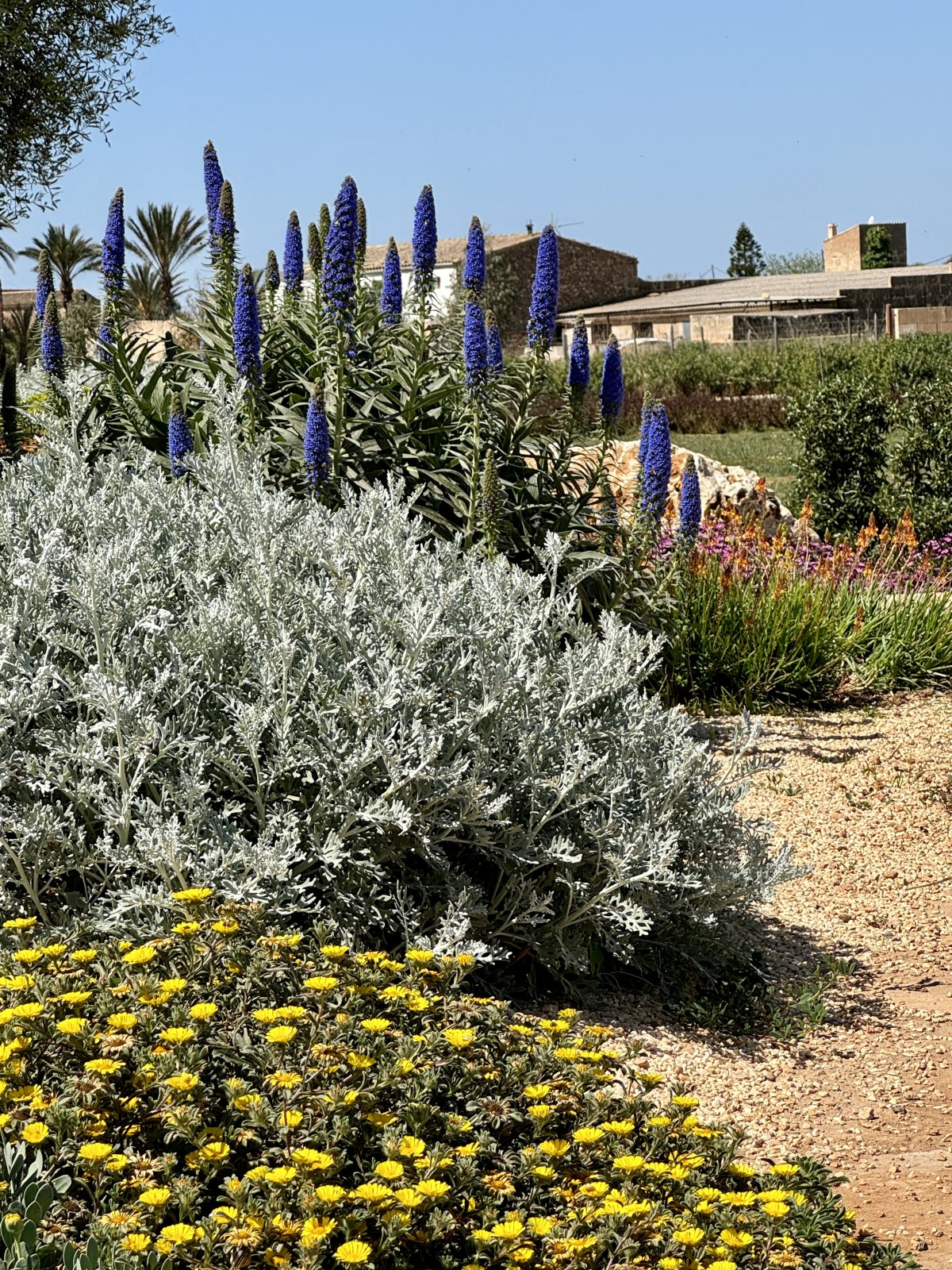 Finca Garden Campos — Garden Design Campos, Mallorca Mallorca, Image 17