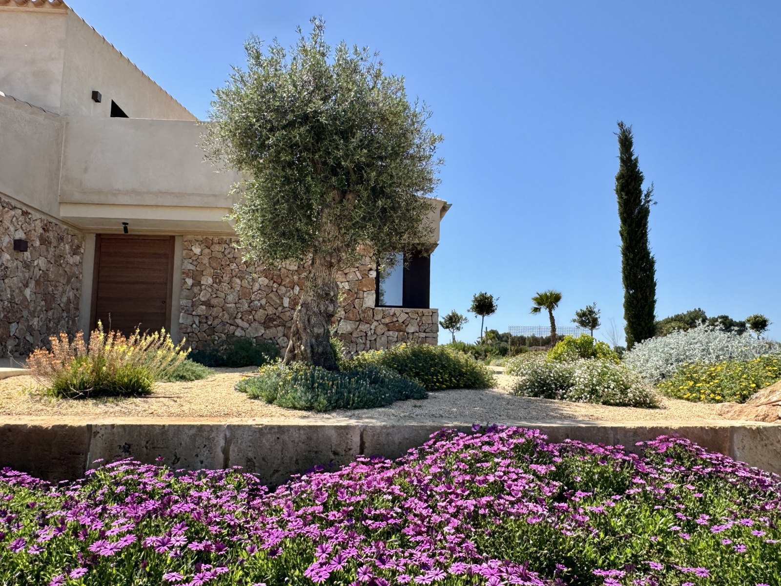 Finca Garden Campos — Garden Design Campos, Mallorca Mallorca, Image 19
