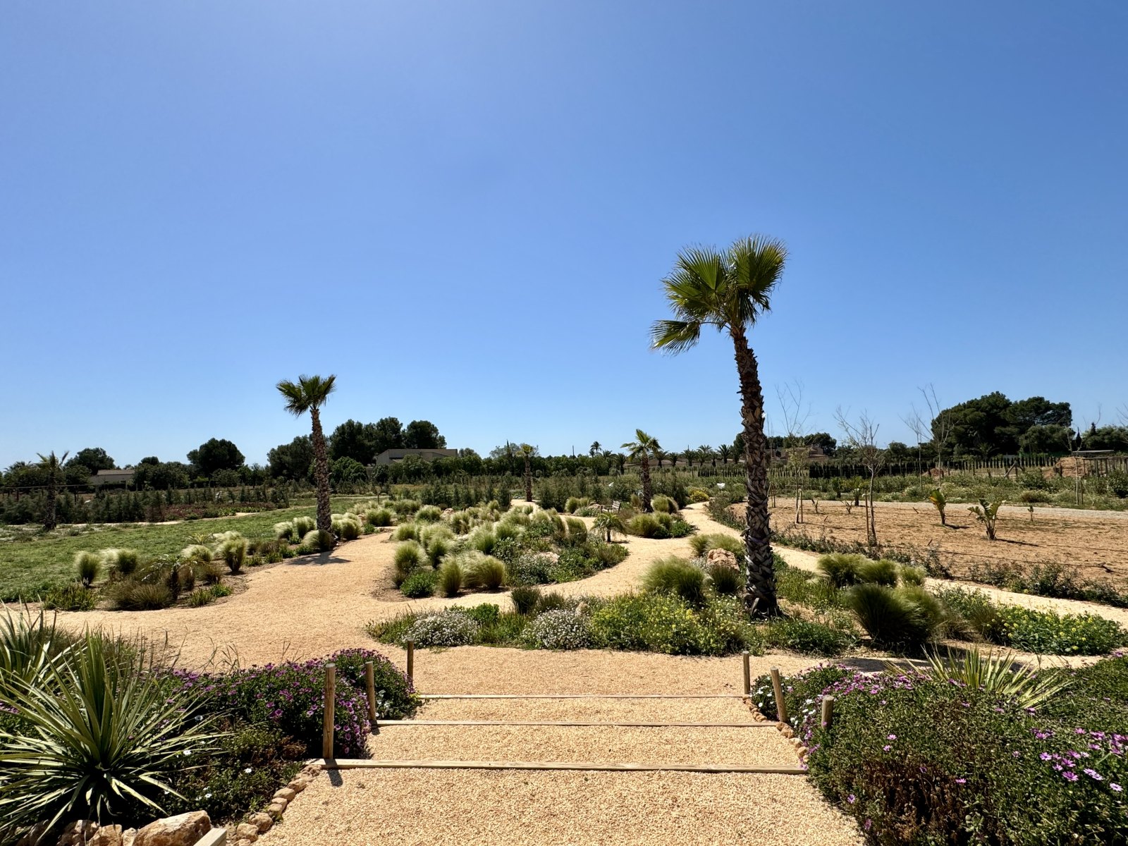 Finca Garden Campos — Garden Design Campos, Mallorca Mallorca, Image 20