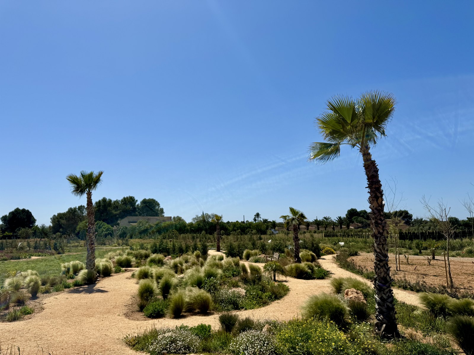 Finca Garden Campos — Garden Design Campos, Mallorca Mallorca, Image 21