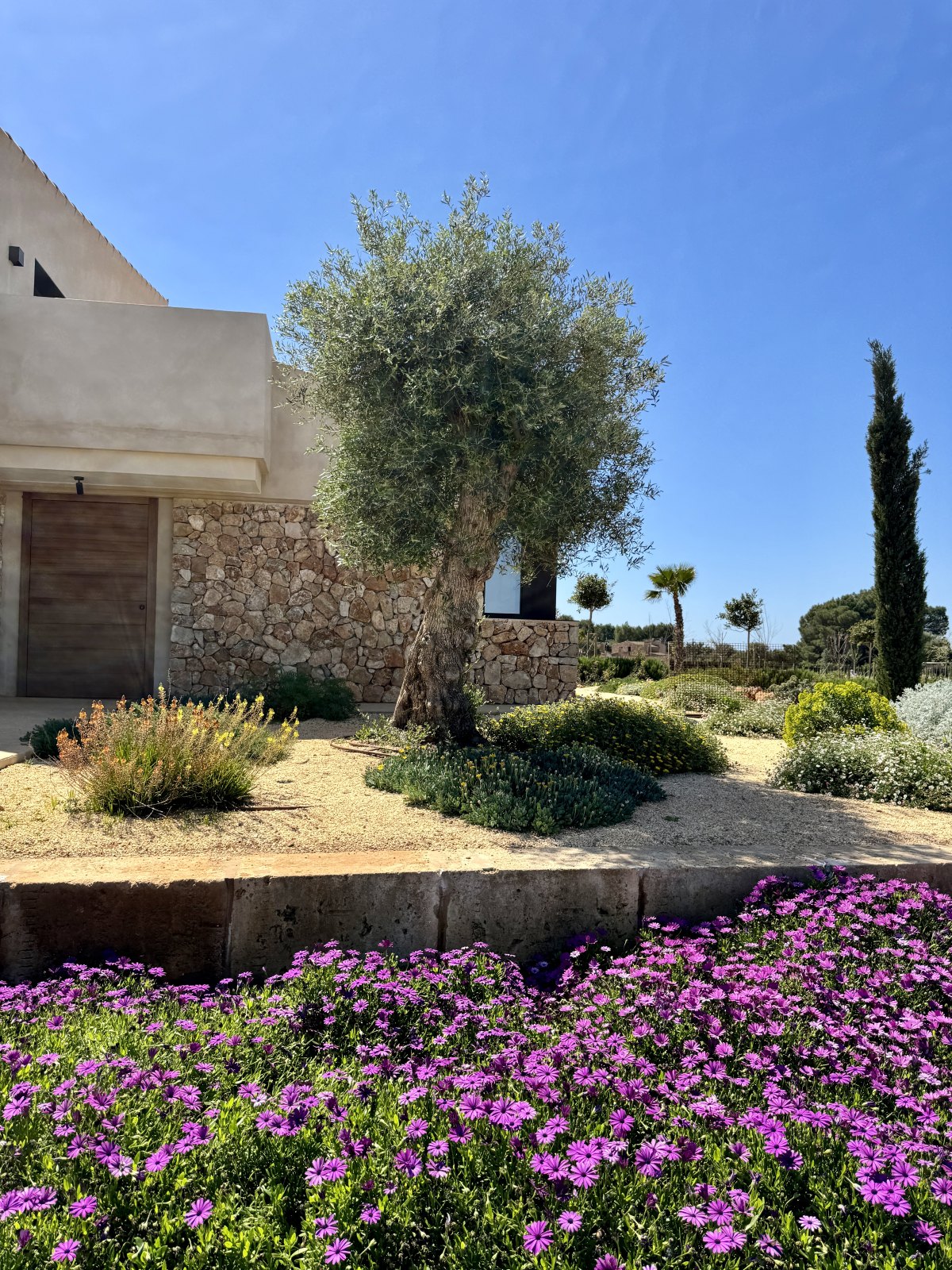 Finca Garden Campos — Garden Design Campos, Mallorca Mallorca, Image 23