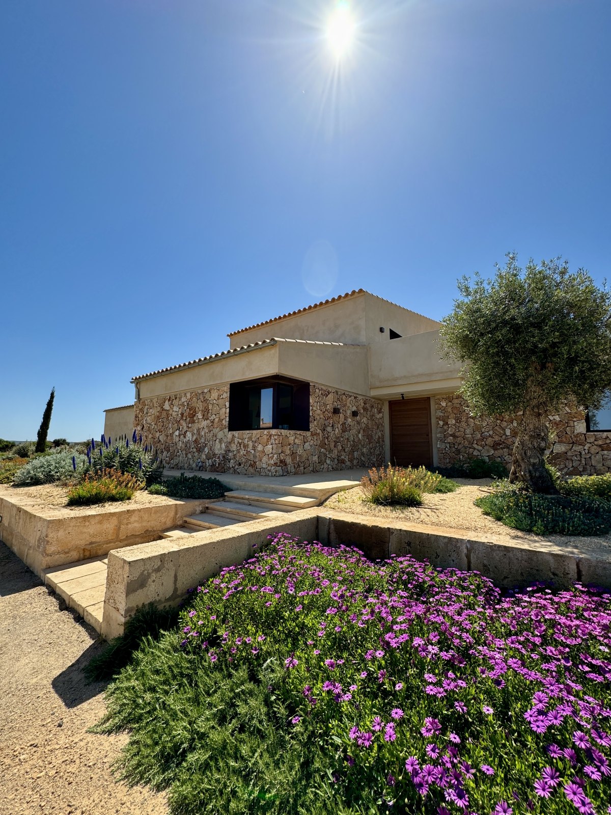 Finca Garden Campos — Garden Design Campos, Mallorca Mallorca, Image 24