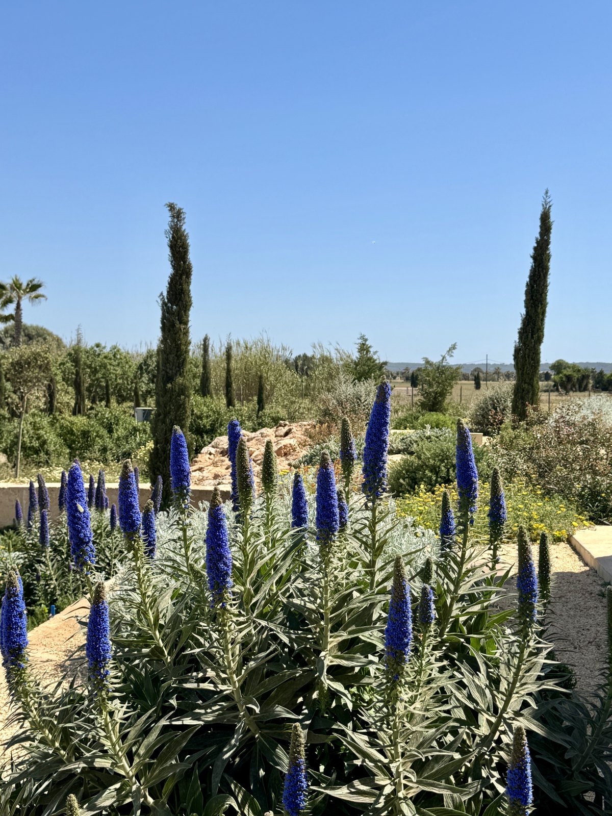Finca Garden Campos — Garden Design Campos, Mallorca Mallorca, Image 25