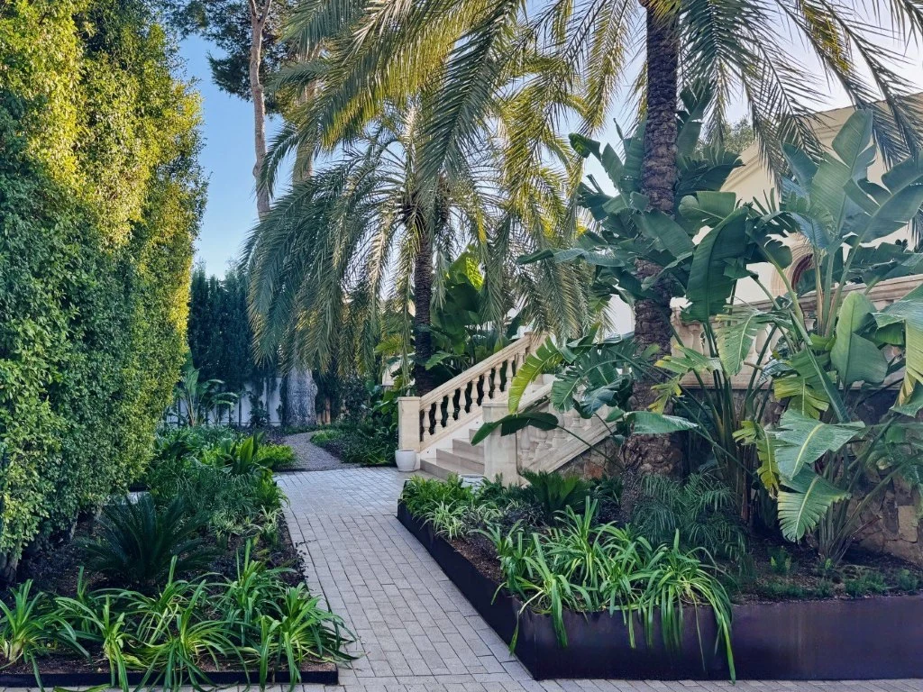Portals Nous — Garden Design Portals Nous, Calvià, Mallorca, Image 4