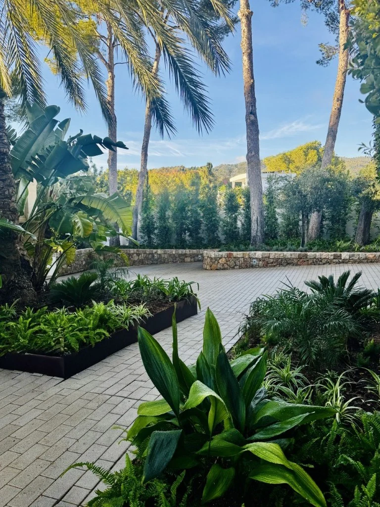Portals Nous — Garden Design Portals Nous, Calvià, Mallorca, Image 5