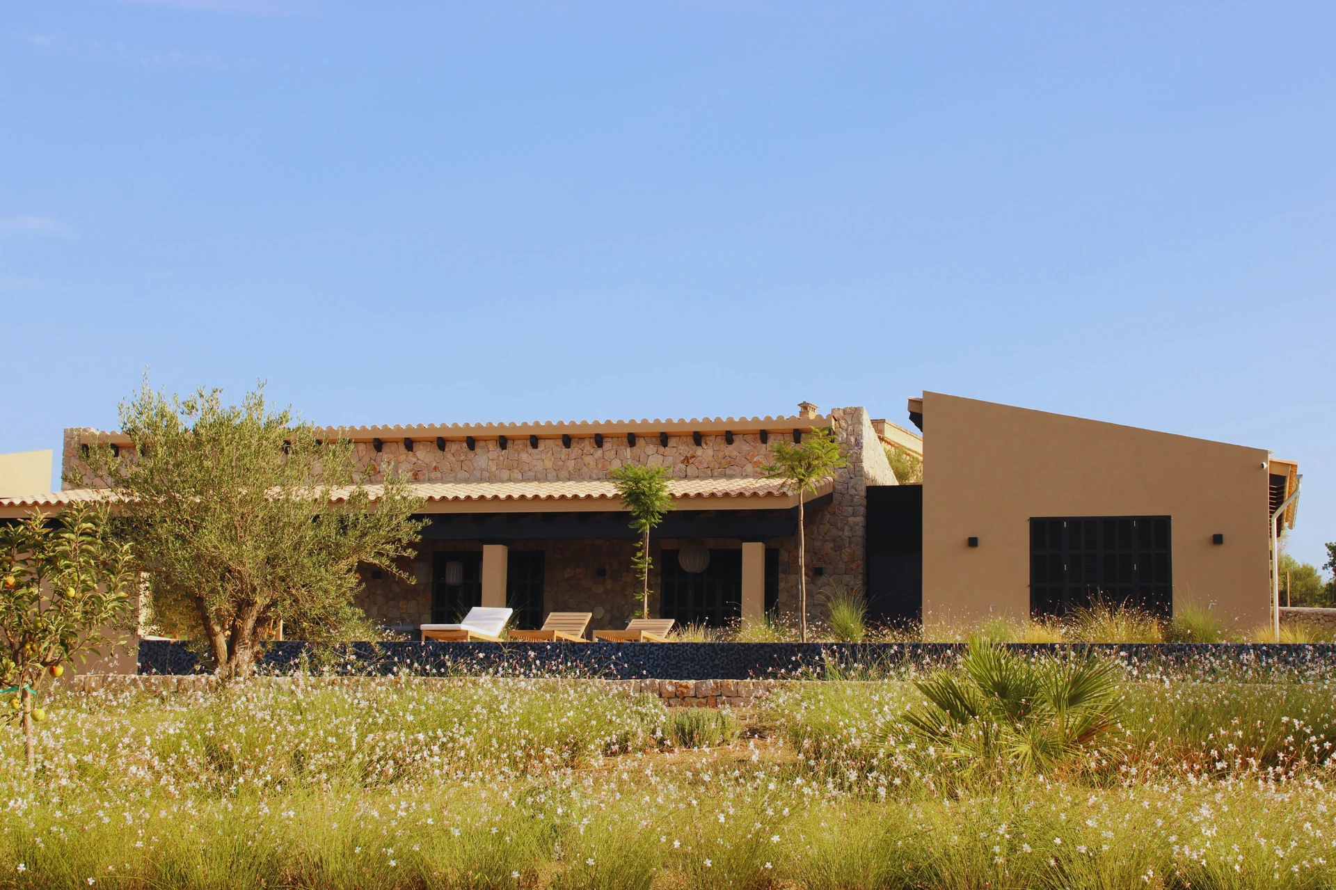 Olivo y plantación mediterránea joven en la casa de campo - S'Estepa Design